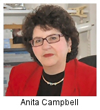 Anita Campbell, LawMarketing Blog